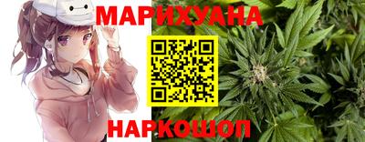 прущие грибы Камышлов