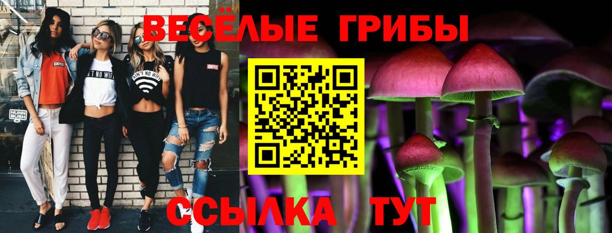 Галлюциногенные грибы GOLDEN TEACHER  Вход с VPN  Шуя 